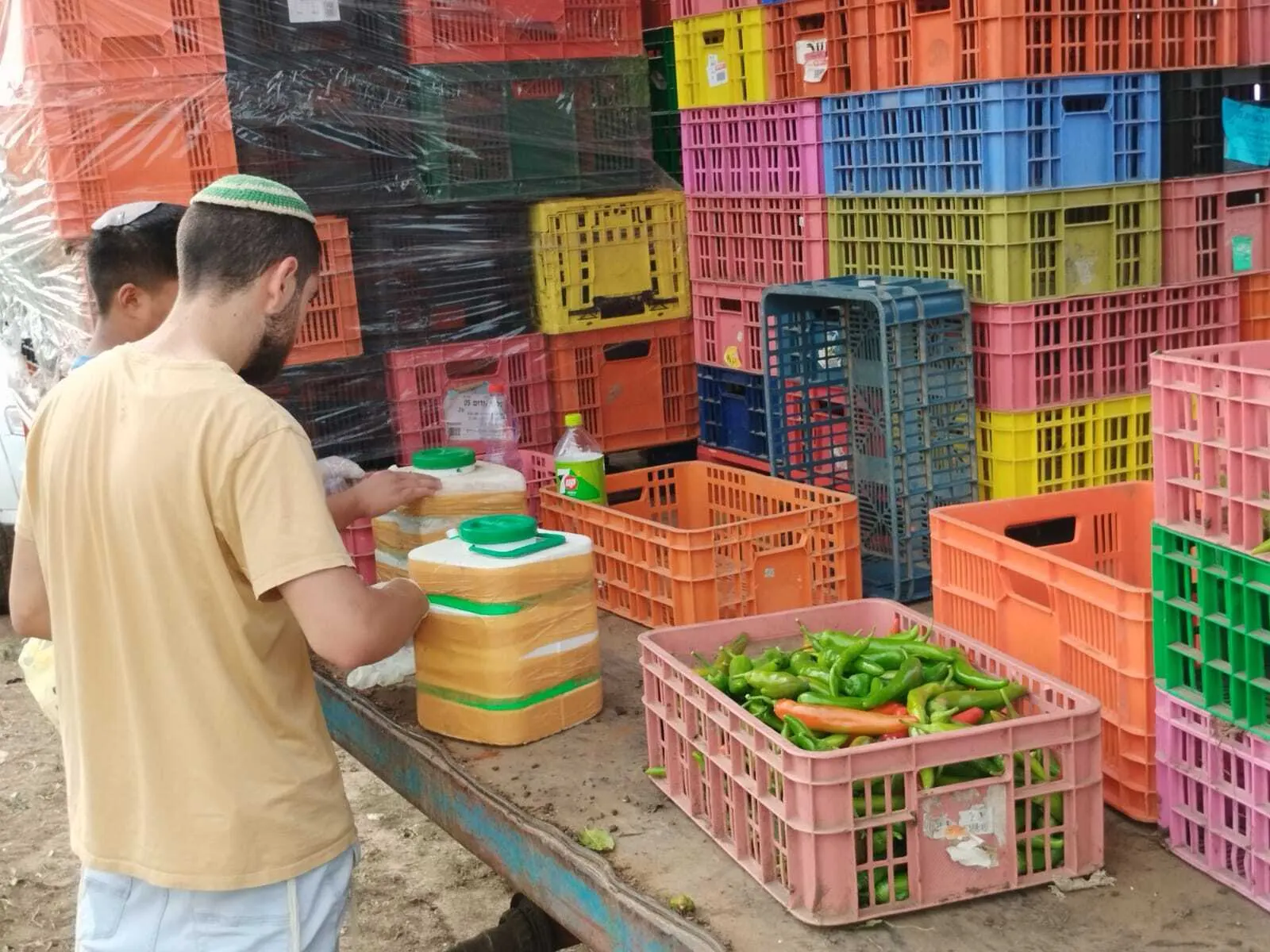 ארגזי תוצרת שנקטפה בידי מתנדבים